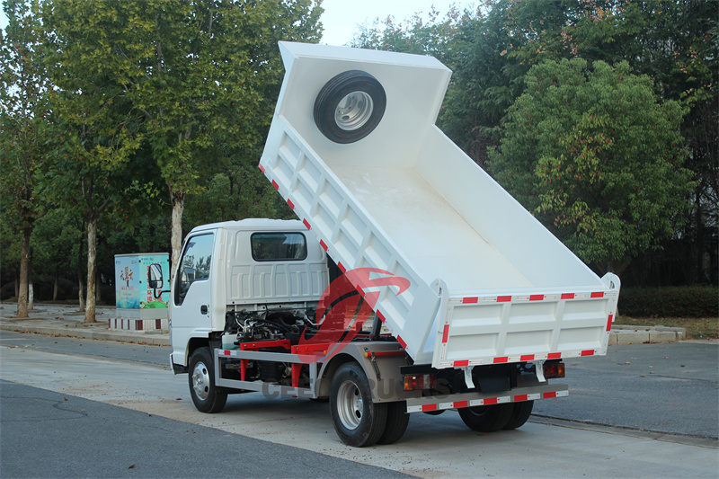 Isuzu ELF dump truck